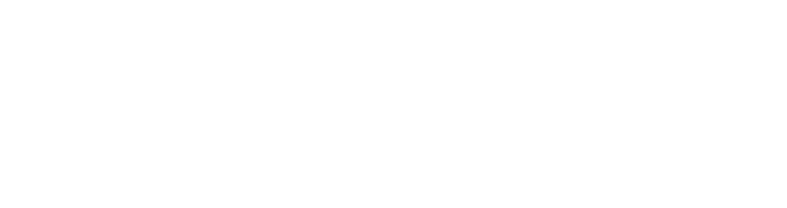 AUSTRI — Direção para evoluir.